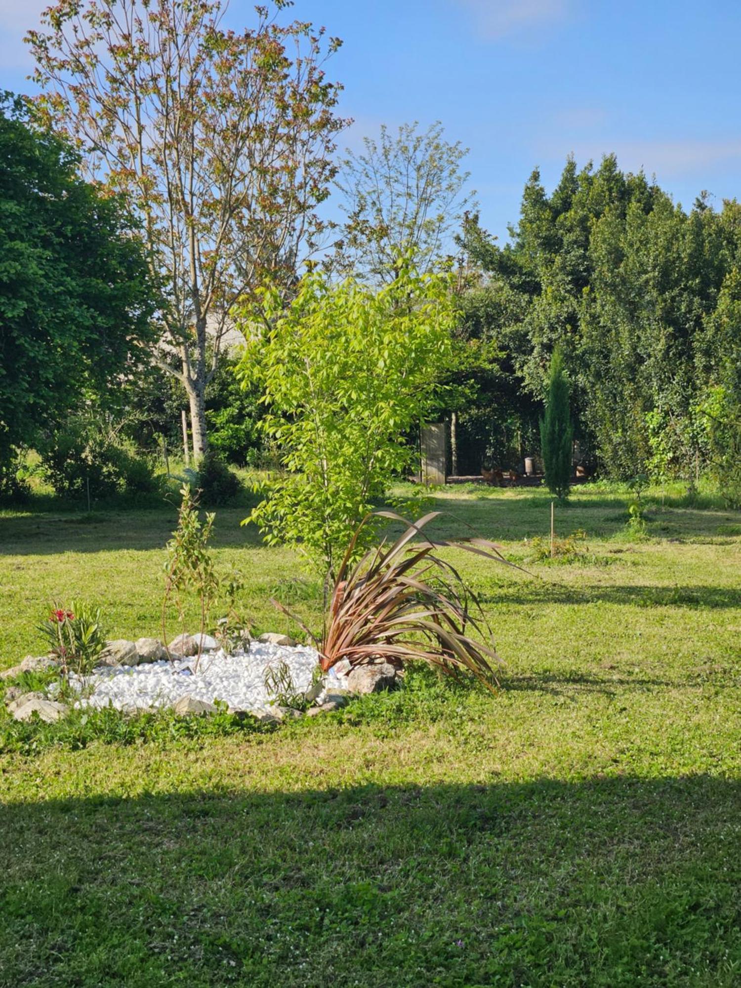 Le Manoir Lacustre Queyrac Extérieur photo