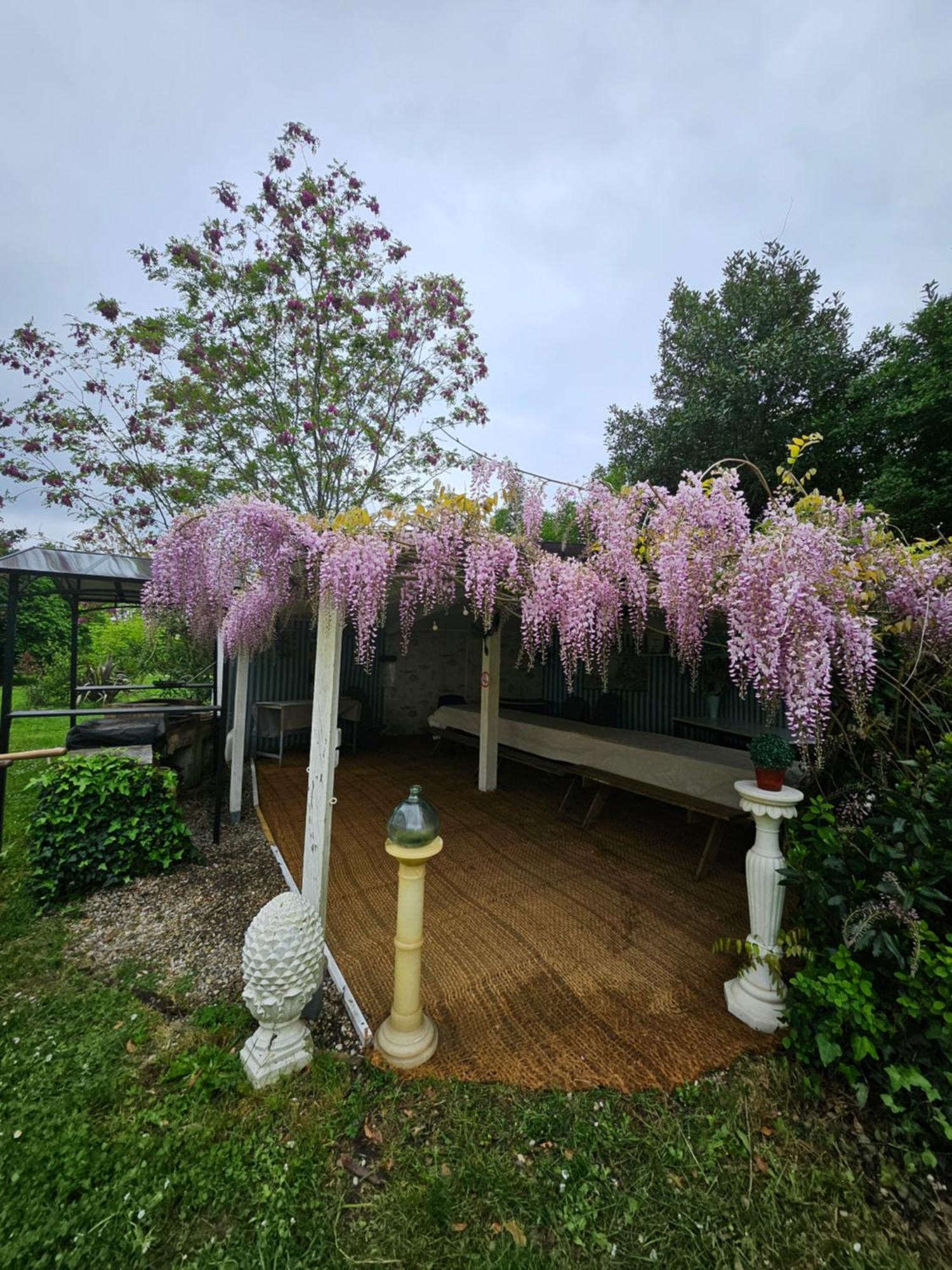 Le Manoir Lacustre Queyrac Extérieur photo